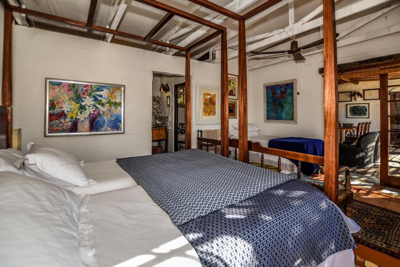 Eloff Guest House And Gallery 白河 外观 照片
