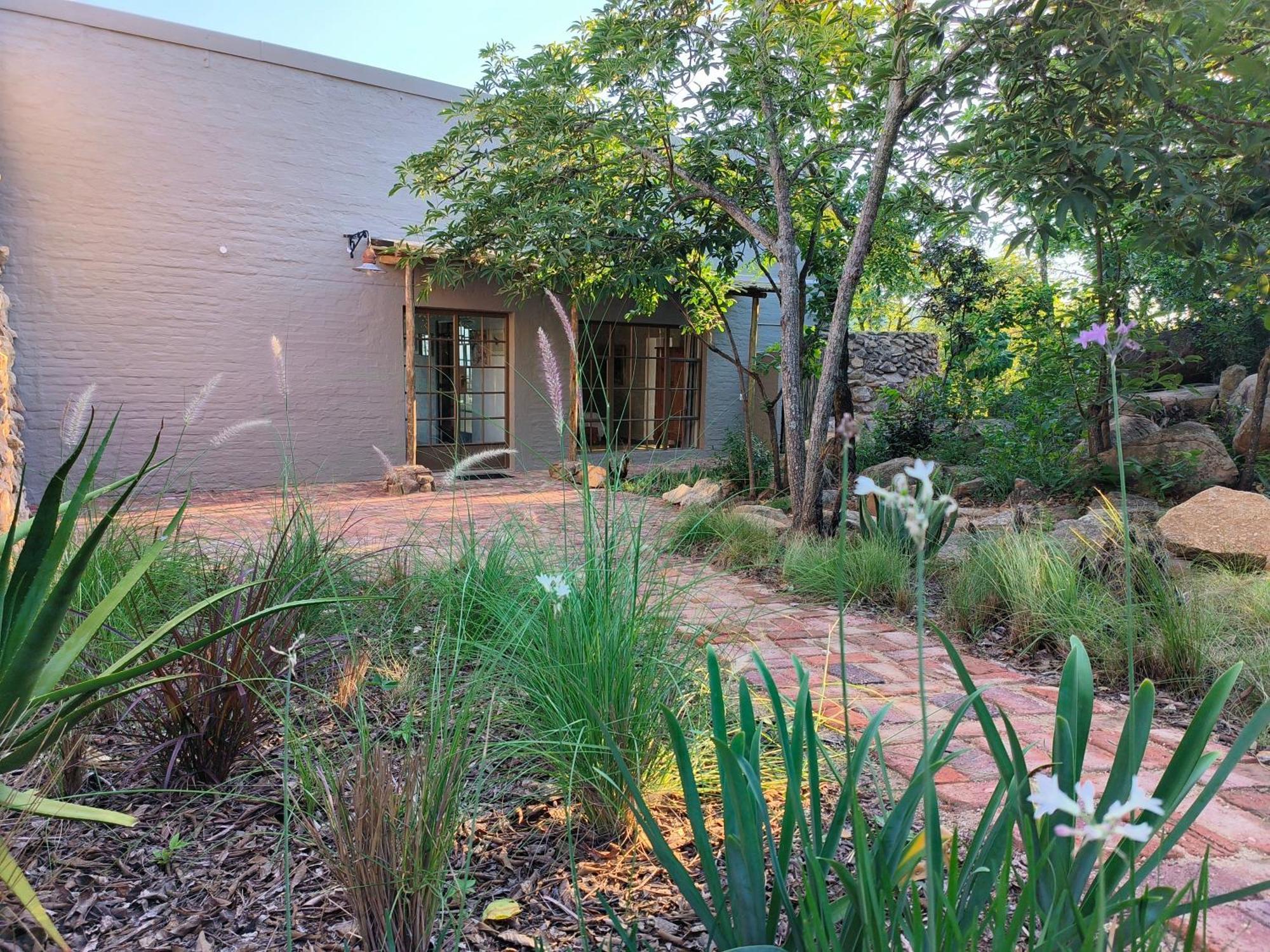 Eloff Guest House And Gallery 白河 外观 照片